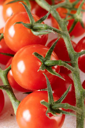 red cherry tomatoes on a branchの写真素材