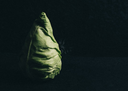 Cone head cabbage for dietary, vegan on a dark background, space for textの写真素材