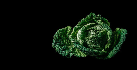 Fresh savoy cabbage on black background, farmer market conceptの写真素材