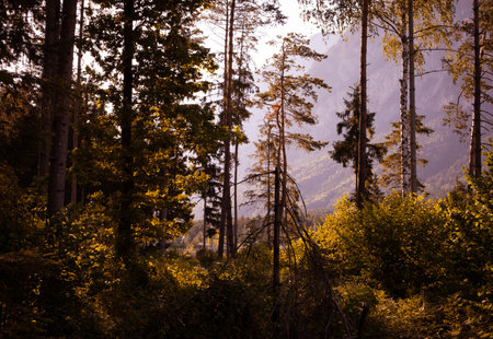 A mystical evening near mountains, quiet nature with scenic view
