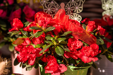 Different flowers and seedlings near the florist flower shop entrance, spring time, easter conceptの写真素材