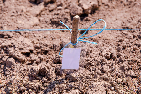 Wooden stake, blue rope, blank tag in freshly cultivated soil, indicating agricultural preparation conceptの写真素材