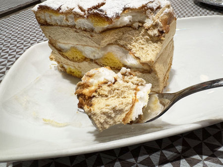 Delicious slice of tiramisu cake on plate with forkful of creamy layers.の写真素材