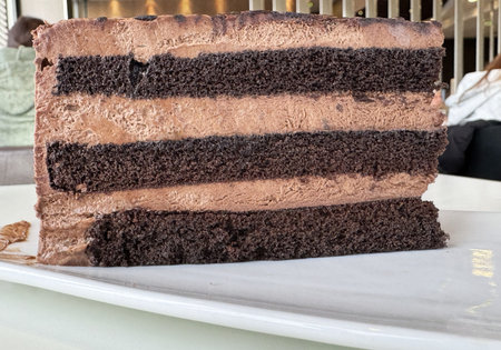 Decadent chocolate layer cake slice on white plate.
