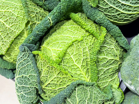 Fresh green savoy cabbage close-up with texture and leaf detail.