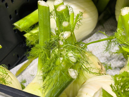 Vibrant fennel bulbs with fresh green fronds are beautifully arranged in a grocery store, highlighting their unique texture and flavor for culinary applicationsの写真素材