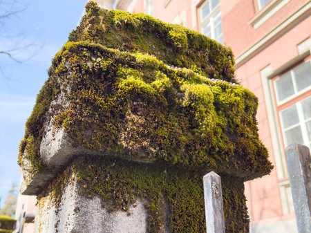 Moss-covered stone pillar in sunlit urban setting with architecture in background.の写真素材