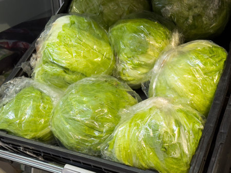 Fresh iceberg lettuce heads wrapped in plastic at grocery store display.の写真素材