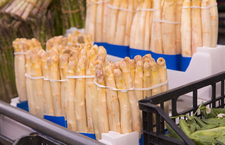 Fresh bundles of white asparagus stacked in market display.の写真素材