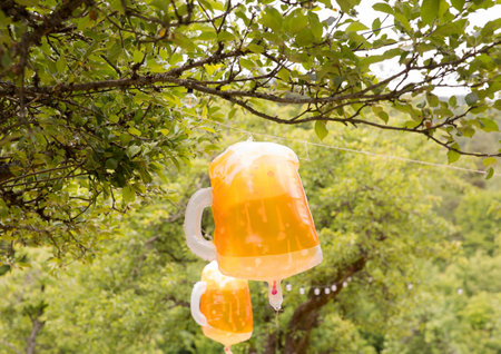 Inflatable beer mugs hanging on tree in green outdoors.の写真素材
