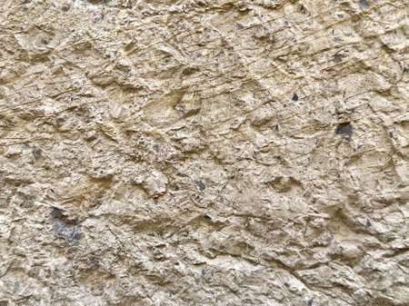 Rough textured stone surface with natural patterns and earthy tones.の写真素材