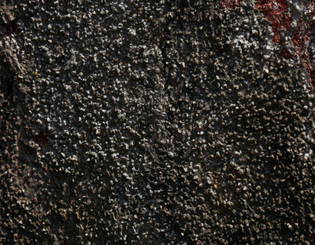 Close-up of rough blackened lava rock surface.