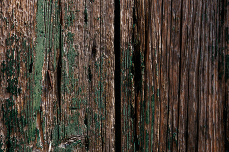 Weathered wooden surface with peeling green paint detail.の写真素材