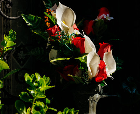 Elegant calla lilies and red roses in sunlit garden arrangement.の写真素材