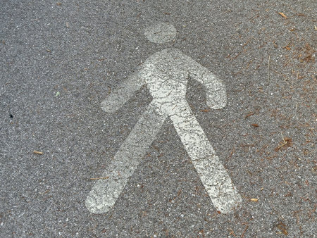 Faded pedestrian symbol on asphalt with leaves and twigs.