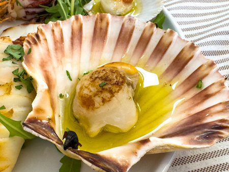 Grilled scallop in shell with olive oil and herbs on plate.の写真素材