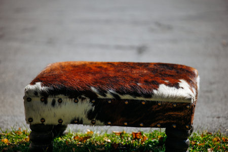 Rustic cowhide ottoman on grass with brass stud details.の写真素材