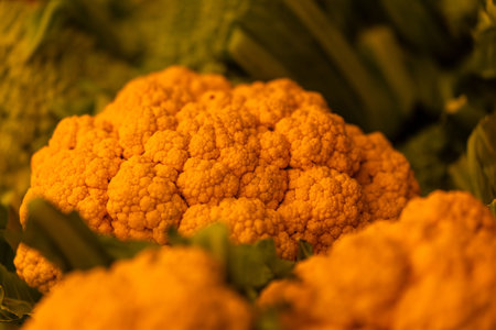 Close-up of fresh orange cauliflower with green leaves.の写真素材