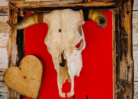 Rustic buffalo skull with heart on red background in wooden frame.の写真素材