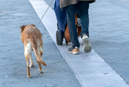 Man walking dog on urban street with shopping cart.の写真素材