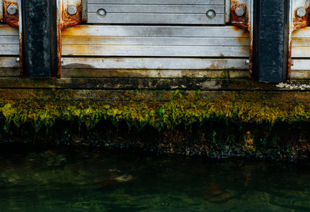Seaweed and rust on wooden dock wall with weathered planks.