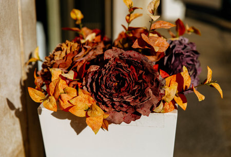 Vibrant autumn bouquet with red and orange flowers in white vase.の写真素材
