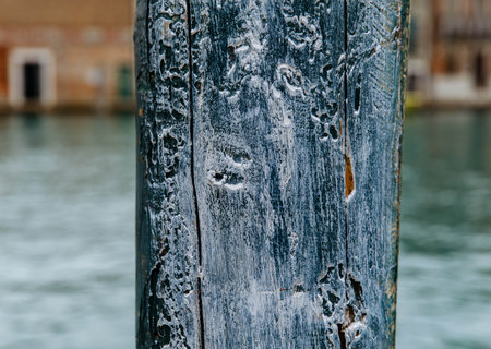 Weathered dock post in focused close-up by water.の写真素材