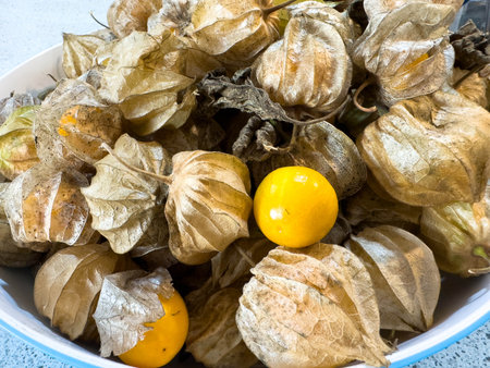 Fresh golden cape gooseberries in husk on blue background.の写真素材