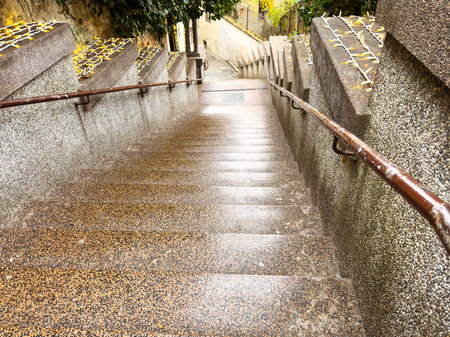 Wet stone staircase in urban park with autumn leaves.
