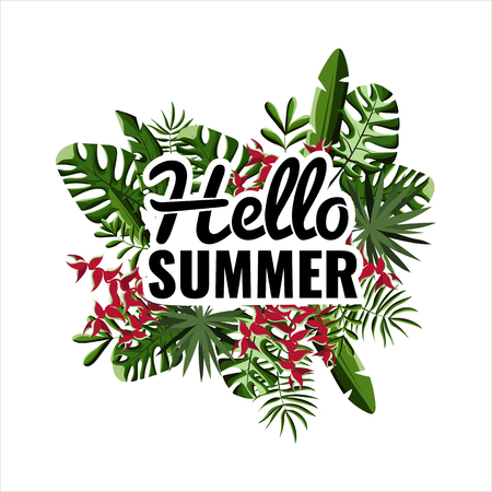 Hello Summer. Palm leaves background. Party poster.のイラスト素材