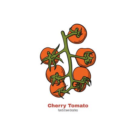 Cherry tomato hand drawn branch. Doodle style cartoon concept vector illustration for logo, print, banner, flyer, festival poster etc.のイラスト素材