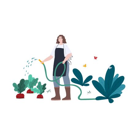 Young happy woman waters beetroot at the backyard or farm. Farming and gardening.のイラスト素材