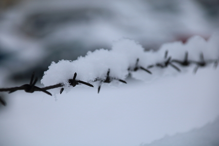 barbed wire fence on winter time backgruond white snowの写真素材