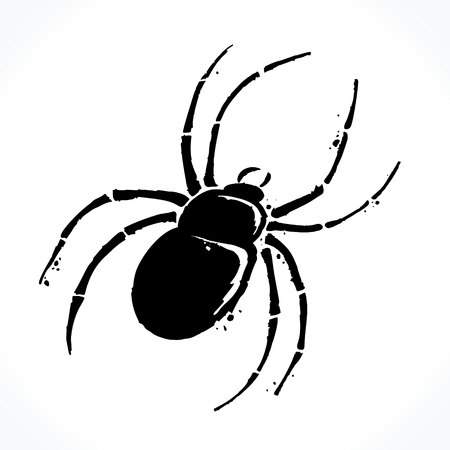 Hand drawn spider isolated on white backgroundのイラスト素材