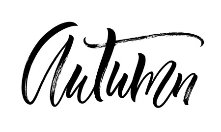 Autumn lettering. Handwritten modern calligraphy, brush painted letters. Vector illustration. Template for poster, flyer, greeting card, invitation and various design productsのイラスト素材