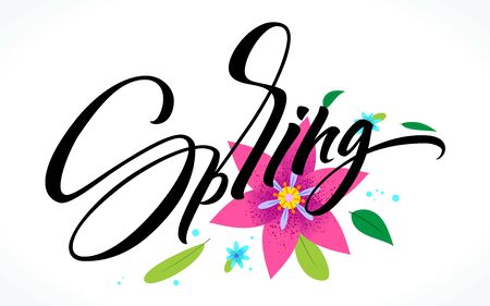 Spring flower backgroundのイラスト素材