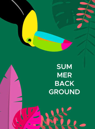 Summer background designのイラスト素材