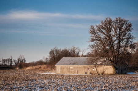 Barn house on the corn field durinf winterの写真素材