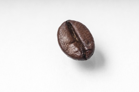 Coffee bean isolated on a white backgroundの写真素材