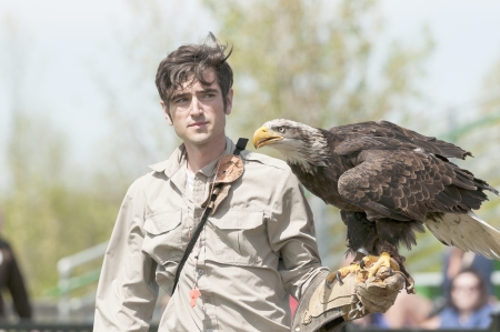 bald eagle perched on it's trainers armのeditorial素材