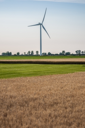 Wind turbine over the farm land of wheatの写真素材
