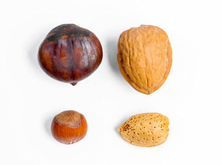 walnut, chestnut, almond and hazelnut on white 