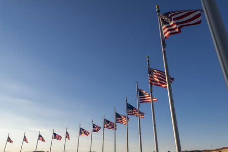 Waving flags surrounding washington monumentの写真素材