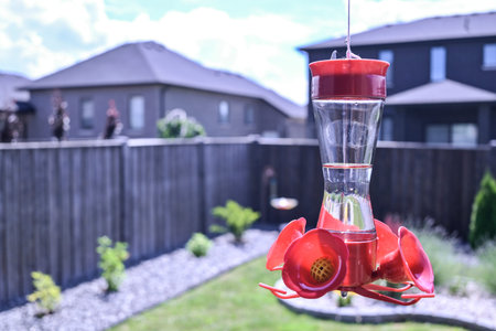 Red decorated humming bird feeder filled with sugar water