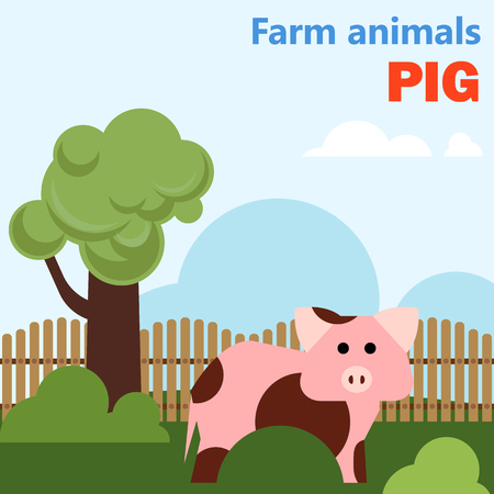 Farm animal pigのイラスト素材