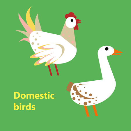 Domestic birds rooster and gooseのイラスト素材