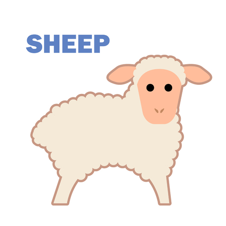 Farm animal sheep isolatedのイラスト素材