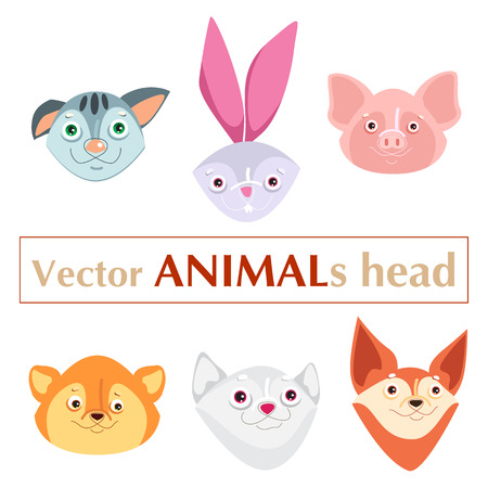 Educational flashcard animals headsのイラスト素材