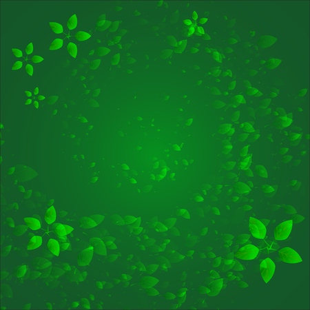 Abstract green summer  with whirlwind of leavesのイラスト素材