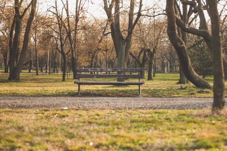 Old wooden bench in the city park